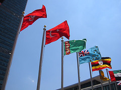 UN flags photo